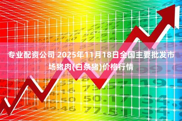 专业配资公司 2025年11月18日全国主要批发市场猪肉(白条猪)价格行情